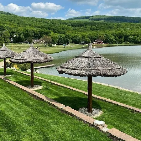 Hotel Wellness Vinnay 3*