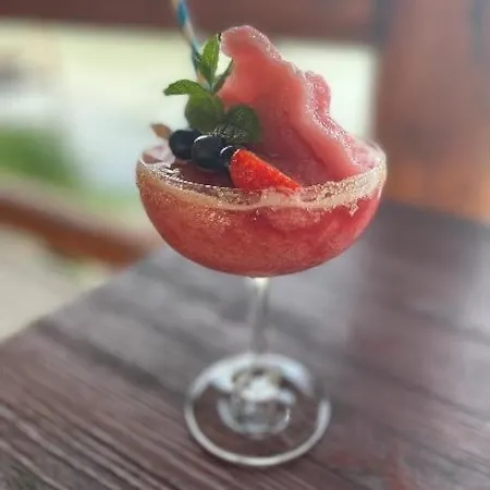 Wellness Vinnay Vinne