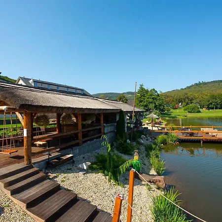 Hotel Wellness Vinnay 3*