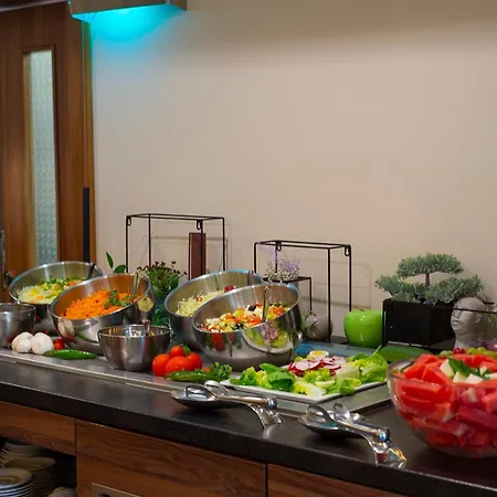 מלון Wellness Vinnay