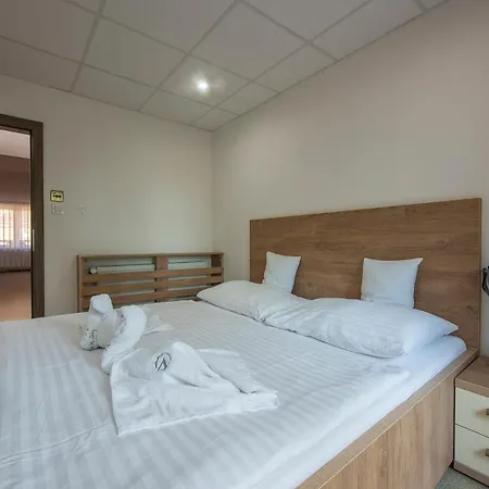 Hotel Wellness Vinnay 3*